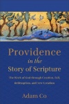 Providence in the Story of Scripture